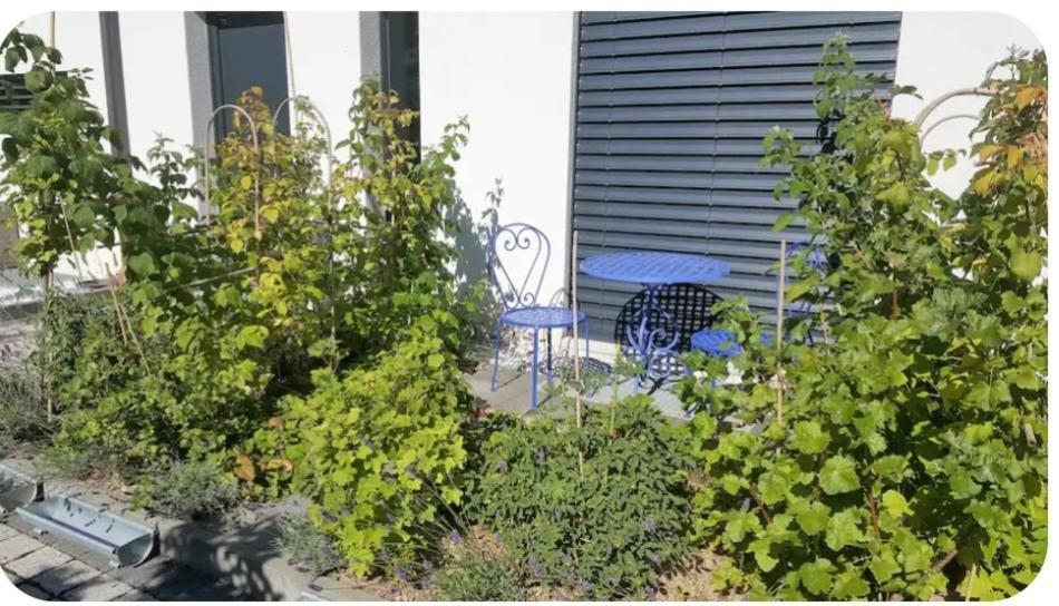Studio, Entree Par Terrasse Bed & Breakfast *